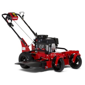 FW15 SD – 81 cm – 10 Pk benzine